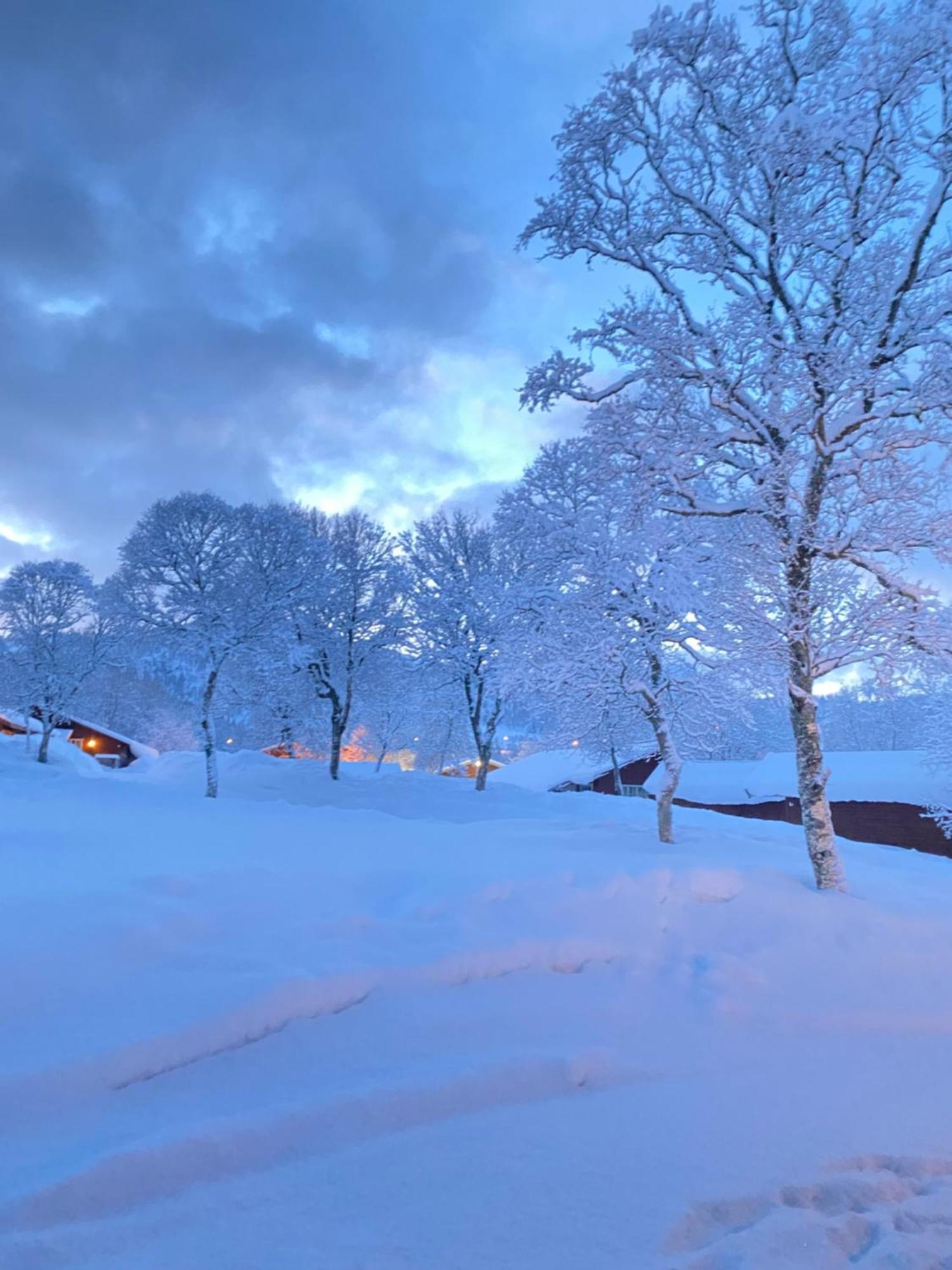 Sortland Camping Og Motell As Exterior foto