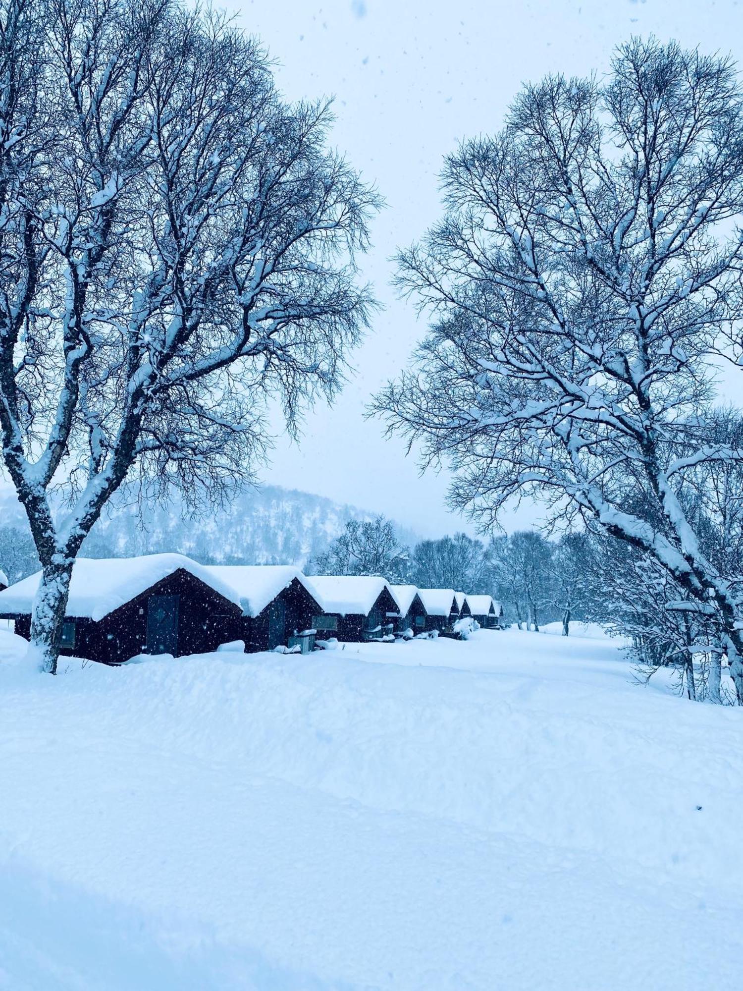 Sortland Camping Og Motell As Exterior foto